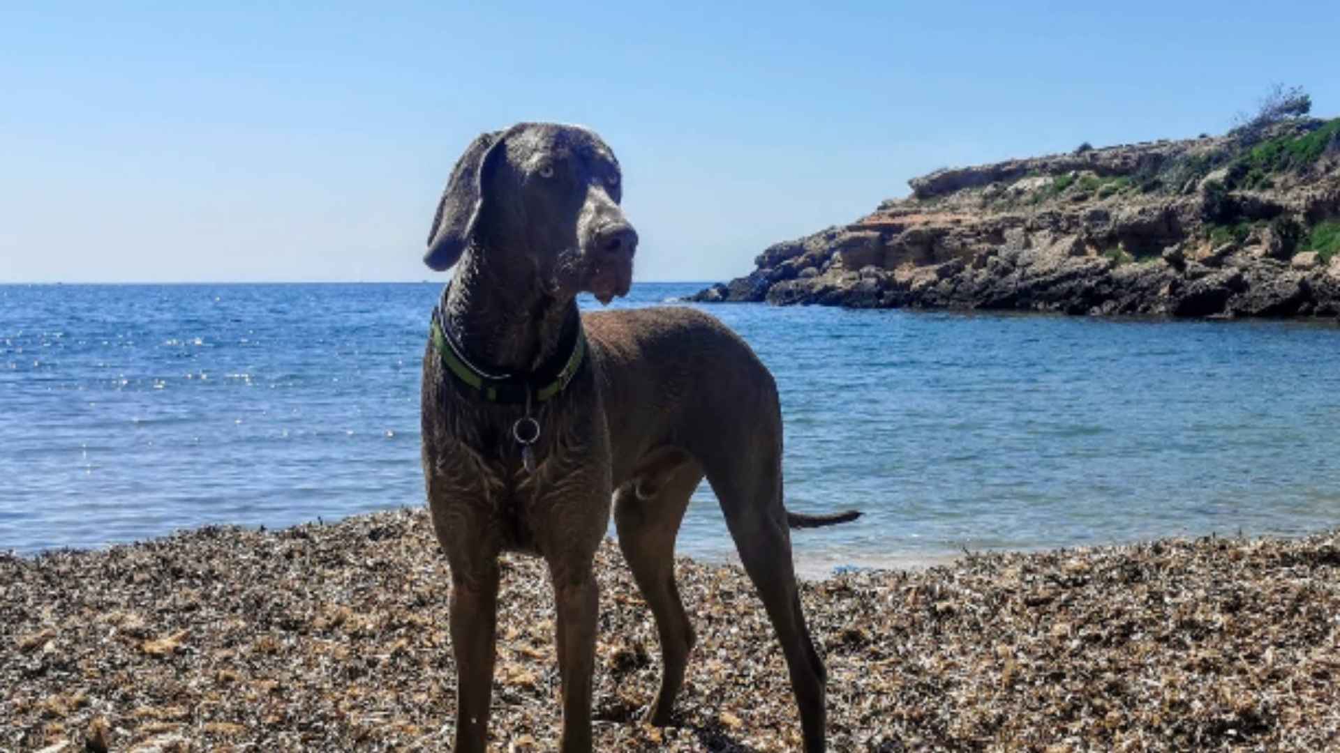 Playa Bon Caponet (Ametlla de Mar)